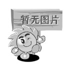 諾力叉車側(cè)移式輪胎夾
